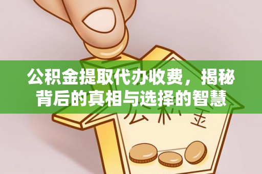 耿马公积金提取代办收费，揭秘背后的真相与选择的智慧