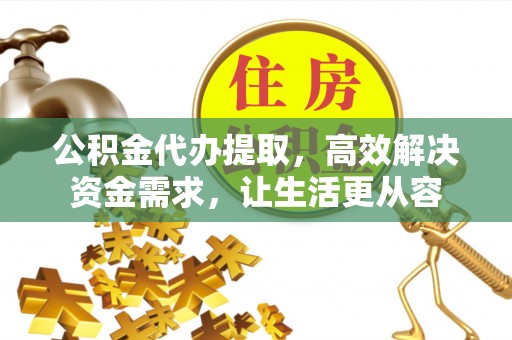 耿马公积金代办提取，高效解决资金需求，让生活更从容