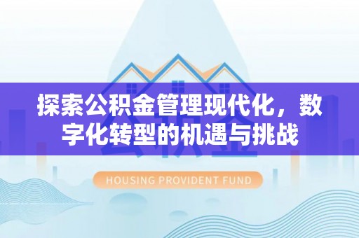 耿马探索公积金管理现代化，数字化转型的机遇与挑战