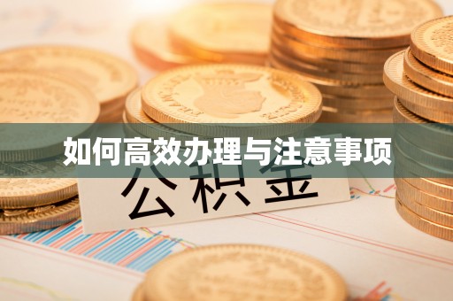 耿马如何高效办理与注意事项