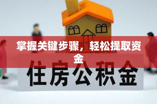 耿马掌握关键步骤，轻松提取资金