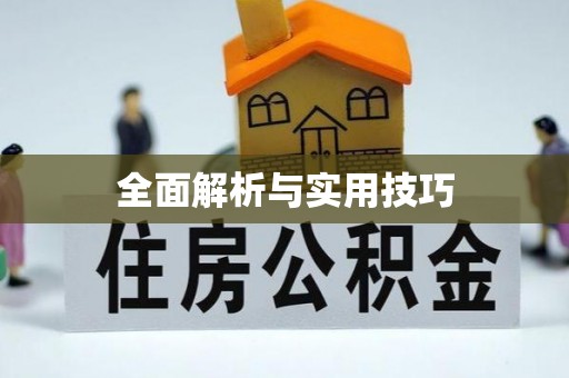 耿马全面解析与实用技巧
