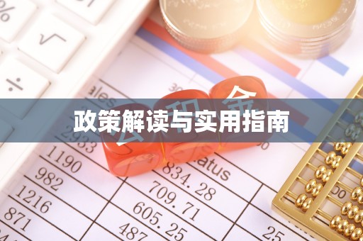 耿马政策解读与实用指南