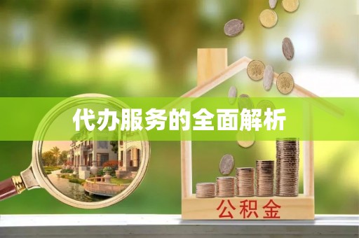 耿马代办服务的全面解析