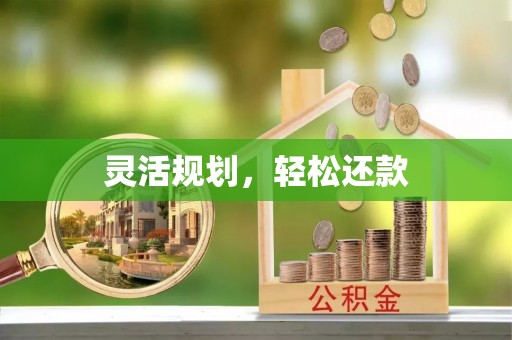 耿马灵活规划，轻松还款