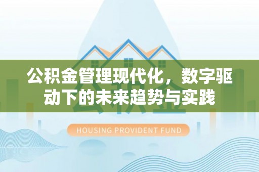 耿马公积金管理现代化，数字驱动下的未来趋势与实践