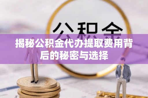 耿马揭秘公积金代办提取费用背后的秘密与选择