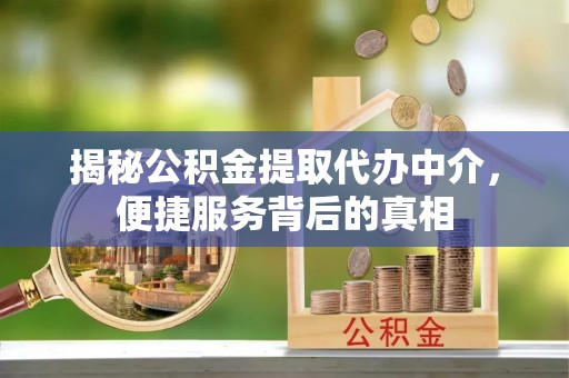 耿马揭秘公积金提取代办中介，便捷服务背后的真相