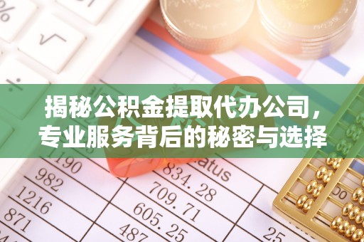 耿马揭秘公积金提取代办公司，专业服务背后的秘密与选择指南
