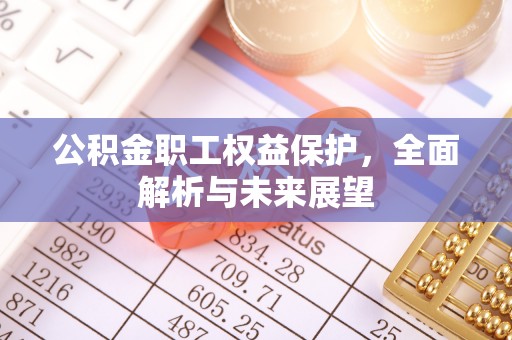 耿马公积金职工权益保护，全面解析与未来展望