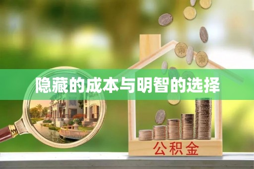 耿马隐藏的成本与明智的选择