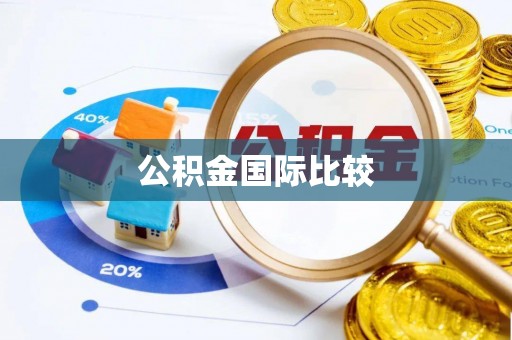 耿马公积金国际比较