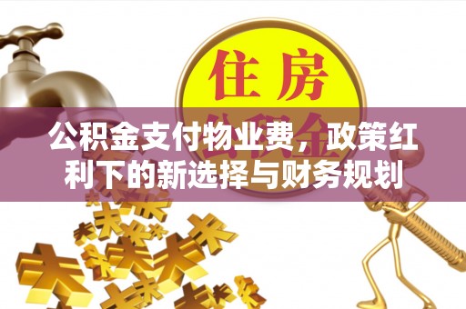 耿马公积金支付物业费，政策红利下的新选择与财务规划