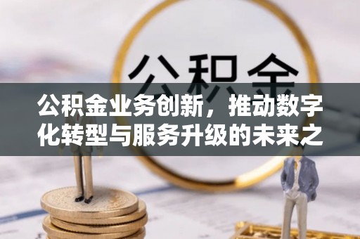 耿马公积金业务创新，推动数字化转型与服务升级的未来之路