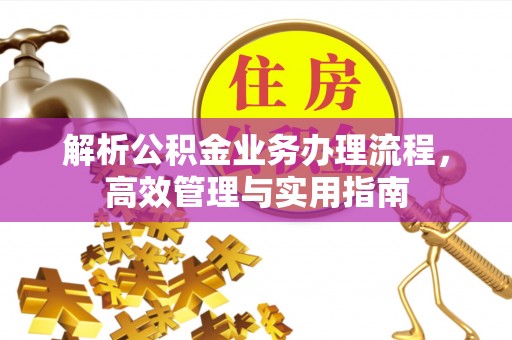 耿马解析公积金业务办理流程，高效管理与实用指南