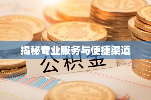 耿马揭秘专业服务与便捷渠道