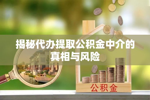 耿马揭秘代办提取公积金中介的真相与风险