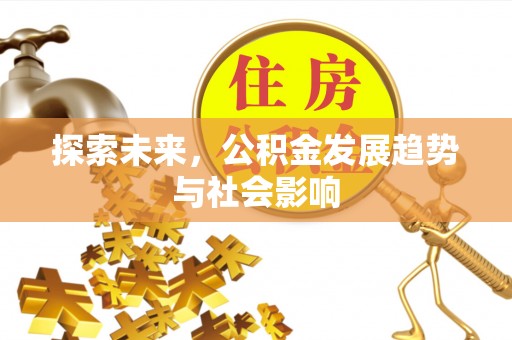 耿马探索未来，公积金发展趋势与社会影响