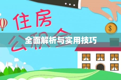 耿马全面解析与实用技巧