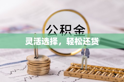 耿马灵活选择，轻松还贷