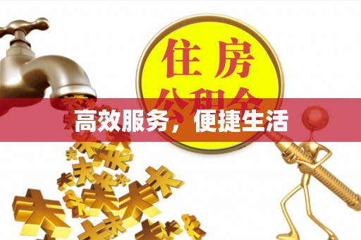 耿马高效服务，便捷生活