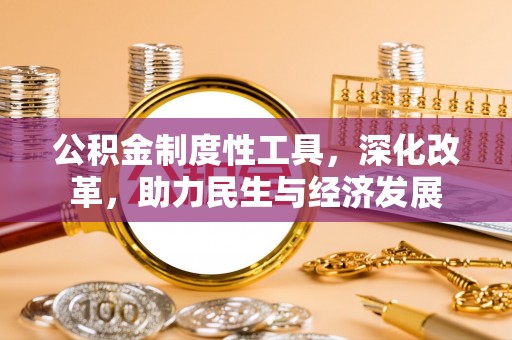耿马公积金制度性工具，深化改革，助力民生与经济发展