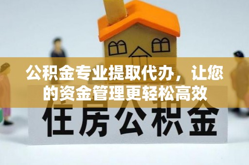 耿马公积金专业提取代办，让您的资金管理更轻松高效