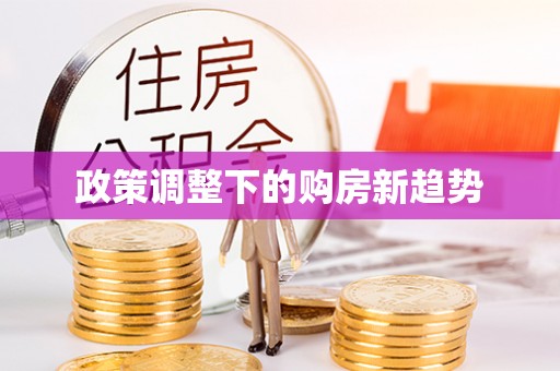 耿马政策调整下的购房新趋势