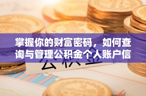 耿马掌握你的财富密码，如何查询与管理公积金个人账户信息