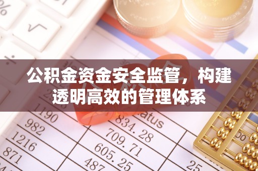 耿马公积金资金安全监管，构建透明高效的管理体系
