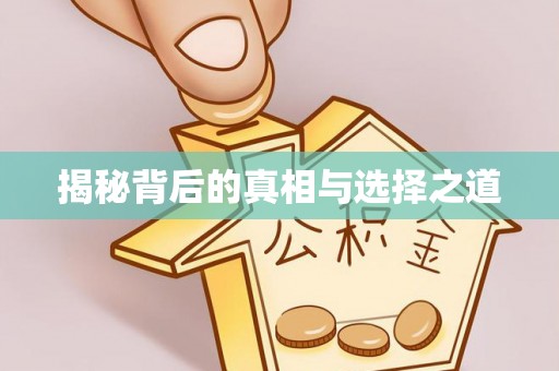 耿马揭秘背后的真相与选择之道