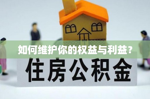 耿马如何维护你的权益与利益？