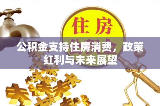 耿马公积金支持住房消费，政策红利与未来展望
