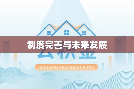 耿马制度完善与未来发展