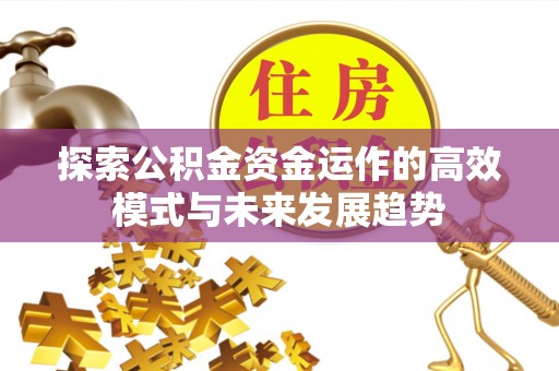 耿马探索公积金资金运作的高效模式与未来发展趋势