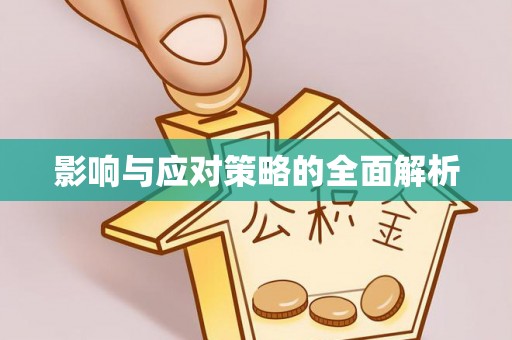 耿马影响与应对策略的全面解析