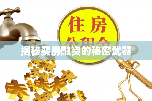 耿马揭秘买房融资的秘密武器