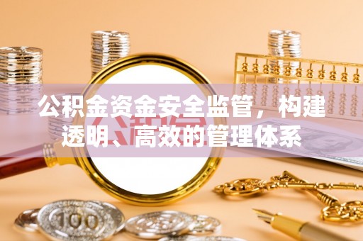 耿马公积金资金安全监管，构建透明、高效的管理体系