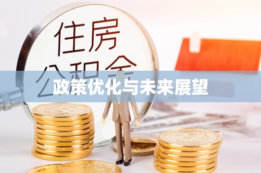 耿马政策优化与未来展望