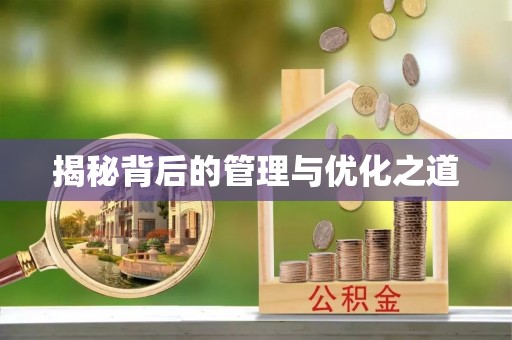 耿马揭秘背后的管理与优化之道