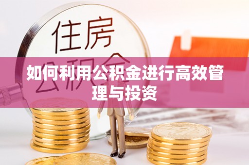 耿马如何利用公积金进行高效管理与投资