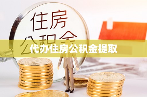 耿马代办住房公积金提取