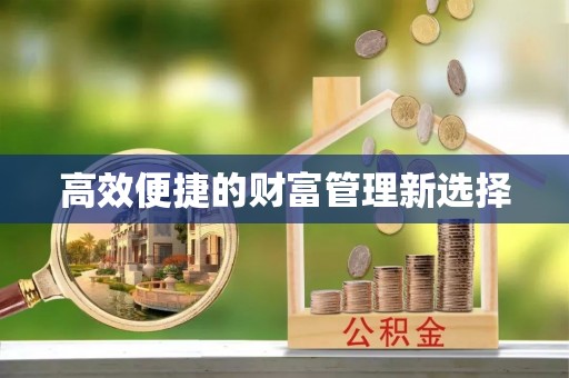 耿马高效便捷的财富管理新选择