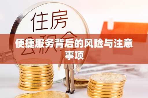 耿马便捷服务背后的风险与注意事项