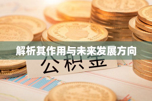 耿马解析其作用与未来发展方向