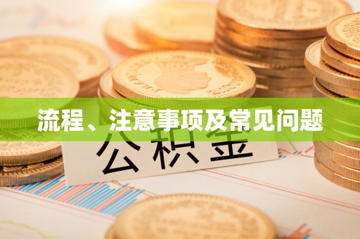 耿马流程、注意事项及常见问题